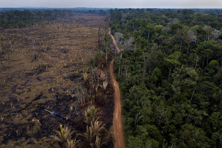 Tangido pelo MPF, estado tem 4 meses para começar a proteger APA do Rio Pardo, antigo território da Flona do Bom Futuro
