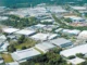 A variação cambial no Polo Industrial de Manaus – Plínio Cesar Coêlho*