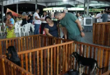 Feira ‘Empreende Pet’ tem 1º dia de sucesso e continua neste sábado, no Espaço Alternativo