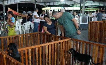 Feira ‘Empreende Pet’ tem 1º dia de sucesso e continua neste sábado, no Espaço Alternativo