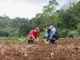 Número de jovens no campo diminui no interior de SP e acende alerta para sucessão no agro