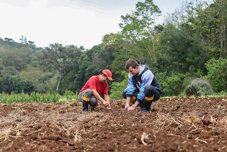 Número de jovens no campo diminui no interior de SP e acende alerta para sucessão no agro