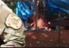 PF deflagra ação contra garimpo e exploração ilegal de madeira em terras indígenas de Rondônia