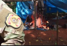 PF deflagra ação contra garimpo e exploração ilegal de madeira em terras indígenas de Rondônia