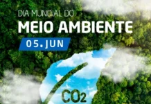 Meio Ambiente – Fiero, Senai e Sesi recebem certificado de prática ambiental sustentável