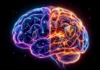 Cientistas descobrem dois tipos de autismo escondidos no cérebro