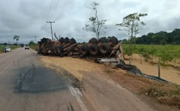 Carreta com soja tomba no ‘Arco Norte’, perde a carga, mas motorista não se fere