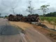 Carreta com soja tomba no ‘Arco Norte’, perde a carga, mas motorista não se fere