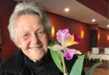 Minha mãe agora é oceano de amor, de ternura, paixão e eterna saudade – Amadeu Machado*
