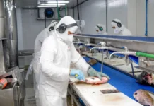 Rondônia tem a menor taxa de desocupação da região Norte e a 5ª menor do país no 1º trimestre de 2026