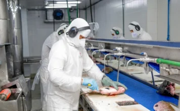 Rondônia tem a menor taxa de desocupação da região Norte e a 5ª menor do país no 1º trimestre de 2026