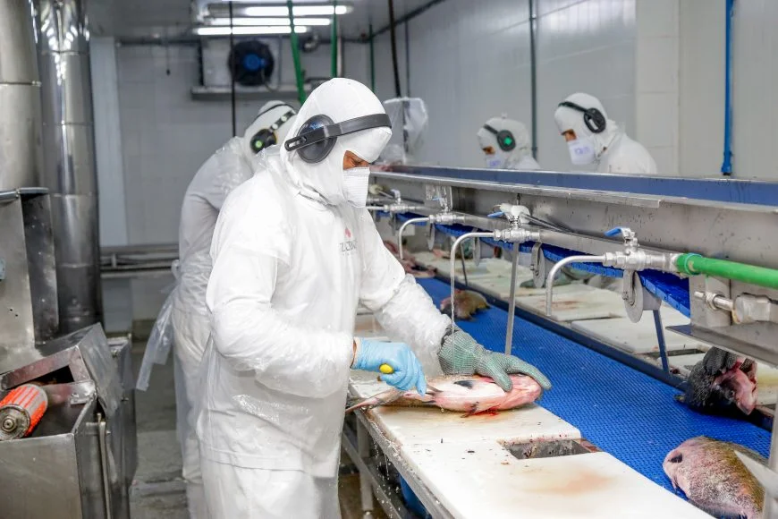 Rondônia tem a menor taxa de desocupação da região Norte e a 5ª menor do país no 1º trimestre de 2026