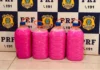 Cor-de-rosa – PRF apreende 19 kg de cocaína líquida disfarçada de desinfetante em ônibus