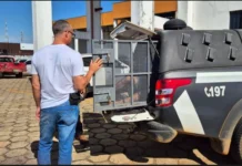 Vigilante que esfaqueou caminhoneiro até ficar com as ‘tripas pra fora’ tenta justificar crime, mas fica preso