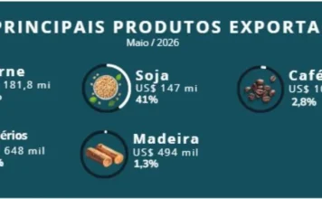 Rondônia exportou US$ 1,7 bilhão de janeiro a maio e carne bovina volta a superar a soja