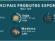 Rondônia exportou US$ 1,7 bilhão de janeiro a maio e carne bovina volta a superar a soja