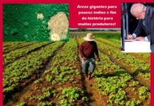 Parque indígena criado por Lula vai afetar agricultores em Chupinguaia, Corumbiara, Parecis e Pimenteiras