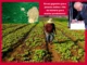 Parque indígena criado por Lula vai afetar agricultores em Chupinguaia, Corumbiara, Parecis e Pimenteiras