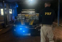 Cheiro da ‘nóia’ denuncia e dois em táxi são presos com ‘combo’ de 60 kg pó e maconha, em Guajará-Mirim