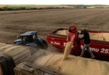 O plano da China para se livrar da dependência do agro brasileiro (e por que isso assusta o Brasil)