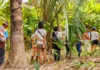 A restauração ecológica só será possível incluindo as comunidades locais