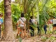 A restauração ecológica só será possível incluindo as comunidades locais