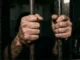 Faccionados que, da cadeia, mandaram matar testemunha são condenados a 17 e a 20 anos de cadeia