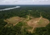 Cientistas anunciam descoberta de 396 geoglifos, rastros de civilização Aquiry, que habitou o Acre