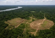 Cientistas anunciam descoberta de 396 geoglifos, rastros de civilização Aquiry, que habitou o Acre