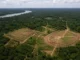 Cientistas anunciam descoberta de 396 geoglifos, rastros de civilização Aquiry, que habitou o Acre