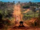 Hildon e Cirone garantem concluir asfaltamento da ‘Rodovia do Boi’, ao Sul de Rondônia