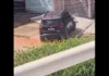 Em possível surto, universitária usa o carro para atropelar vizinho e destruir portão