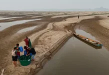 Os impactos que o super El Niño pode provocar na Amazônia