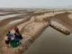 Os impactos que o super El Niño pode provocar na Amazônia