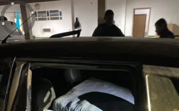 Carregado de maconha avança contra policiais, ‘dá pinote’, mas é preso com 166 kg, em São Miguel do Guaporé