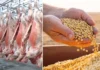 Carne e soja continuam liderando exportações de Rondônia, com superávit de U$ 500 bi em junho