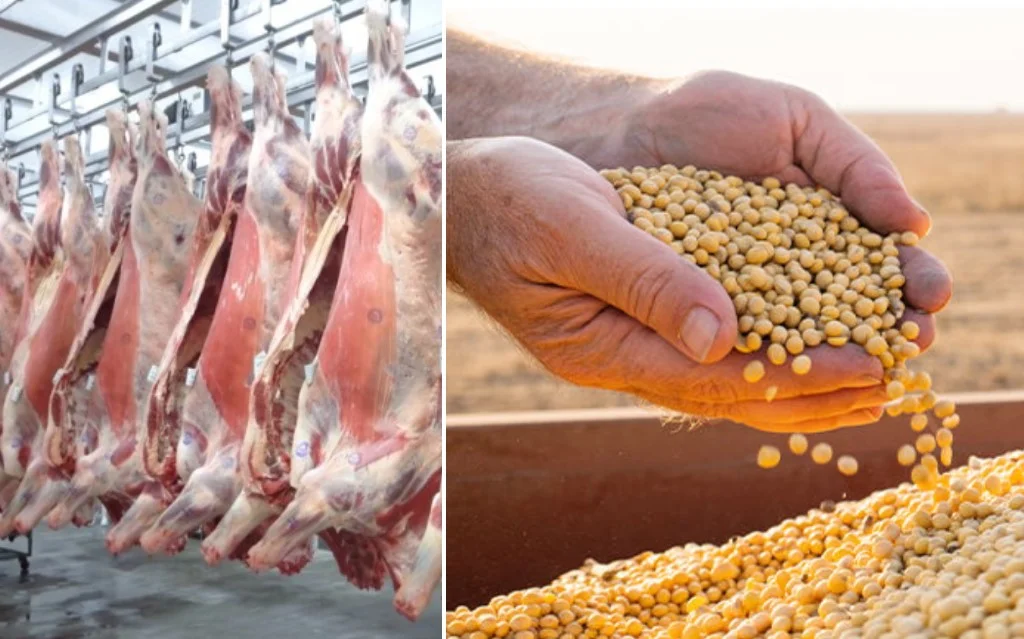 Carne e soja continuam liderando exportações de Rondônia, com superávit de U$ 500 bi em junho