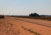 Pistolagem e jaguncismo ditam a lei no campo, no Sul do Amazonas