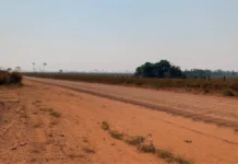 Pistolagem e jaguncismo ditam a lei no campo, no Sul do Amazonas