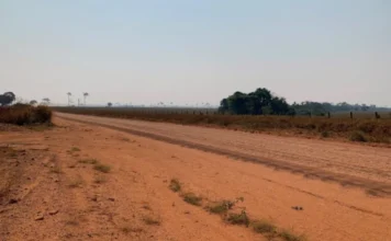 Pistolagem e jaguncismo ditam a lei no campo, no Sul do Amazonas