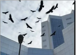 Assembleia Legislativa, orgulho de Rondônia! Professor Nazareno*