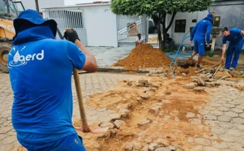 Quero comprar a Caerd – Professor Nazareno*