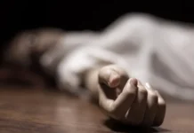 1568 mulheres foram assassinadas por seus ‘companheiros’ no Brasil em 2025