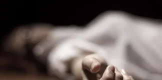 1568 mulheres foram assassinadas por seus ‘companheiros’ no Brasil em 2025
