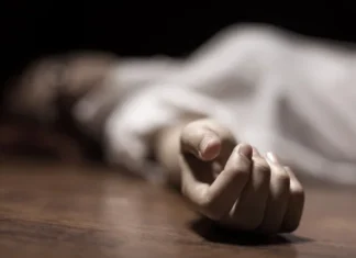 1568 mulheres foram assassinadas por seus ‘companheiros’ no Brasil em 2025
