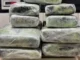 Mulher despacha mala recheada de maconha, mas é preso no embarque