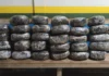 Renault com 30 kg de maconha dá ‘prego’ antes de sair da cidade, PM desconfia, aborda e prende traficante
