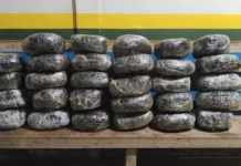 Renault com 30 kg de maconha dá ‘prego’ antes de sair da cidade, PM desconfia, aborda e prende traficante