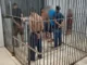 Incursão da PM desarticula pontos de tráfico na zona sul e leva sete suspeitos à prisão