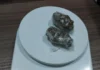 PM apreende 1 kg de haxixe e prende 2 mulheres que operavam ‘boca de fumo’ em Vilhena